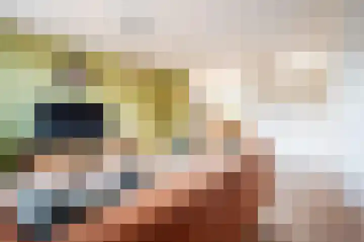 Geitekamp 64 Harderwijk thumbnail 4