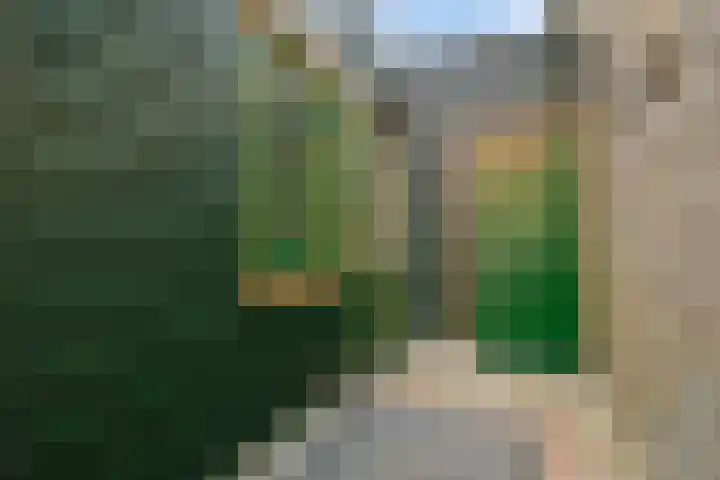 Geitenkamp 13 A Arnhem thumbnail 31