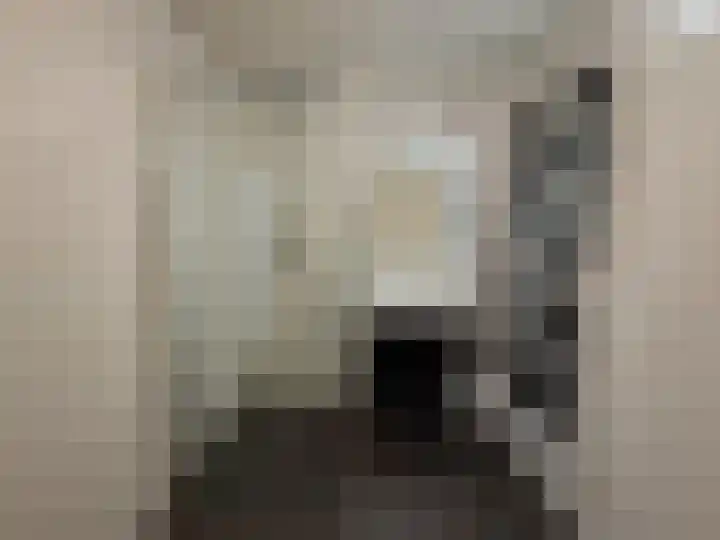 Gekroonde Haringpad 108 Rotterdam thumbnail 12