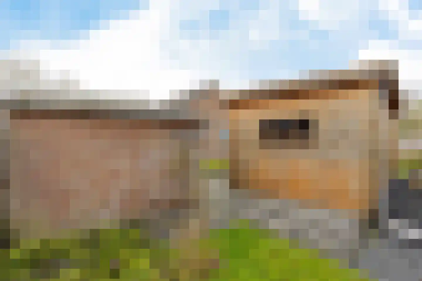 Gela Manningalaan 8 Middelstum thumbnail 33