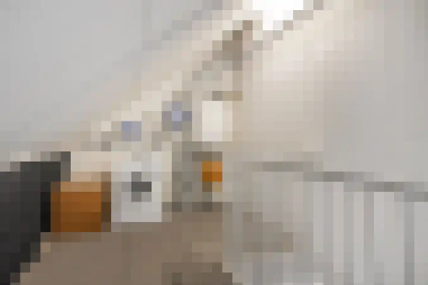 Gelaarsde Kat 19 Eindhoven thumbnail 32