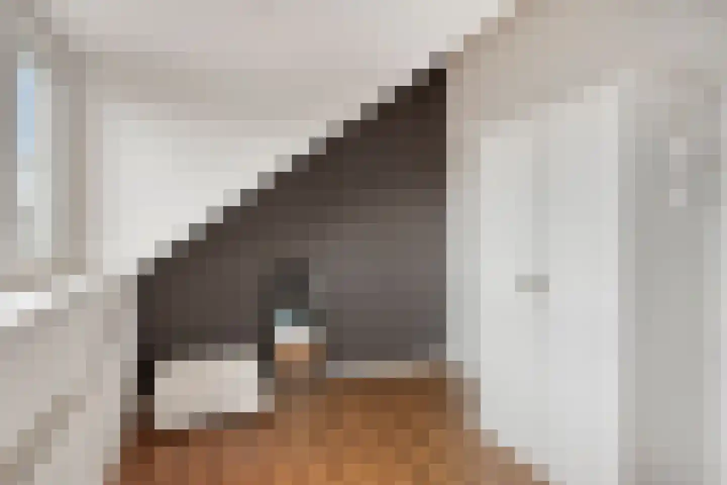 Gelaarsde Kat 19 Eindhoven thumbnail 34