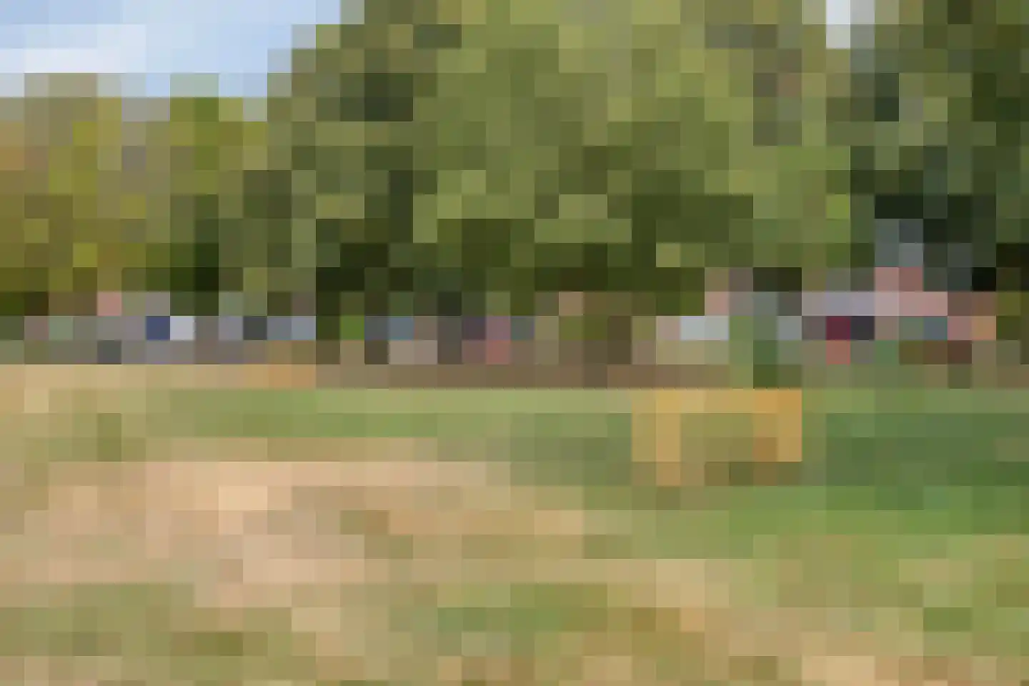 Gelaarsde Kat 19 Eindhoven thumbnail 42