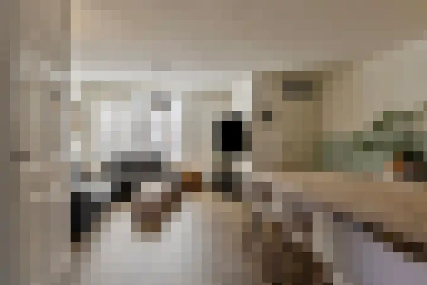 Gelaarsde Kat 34 Eindhoven thumbnail 11
