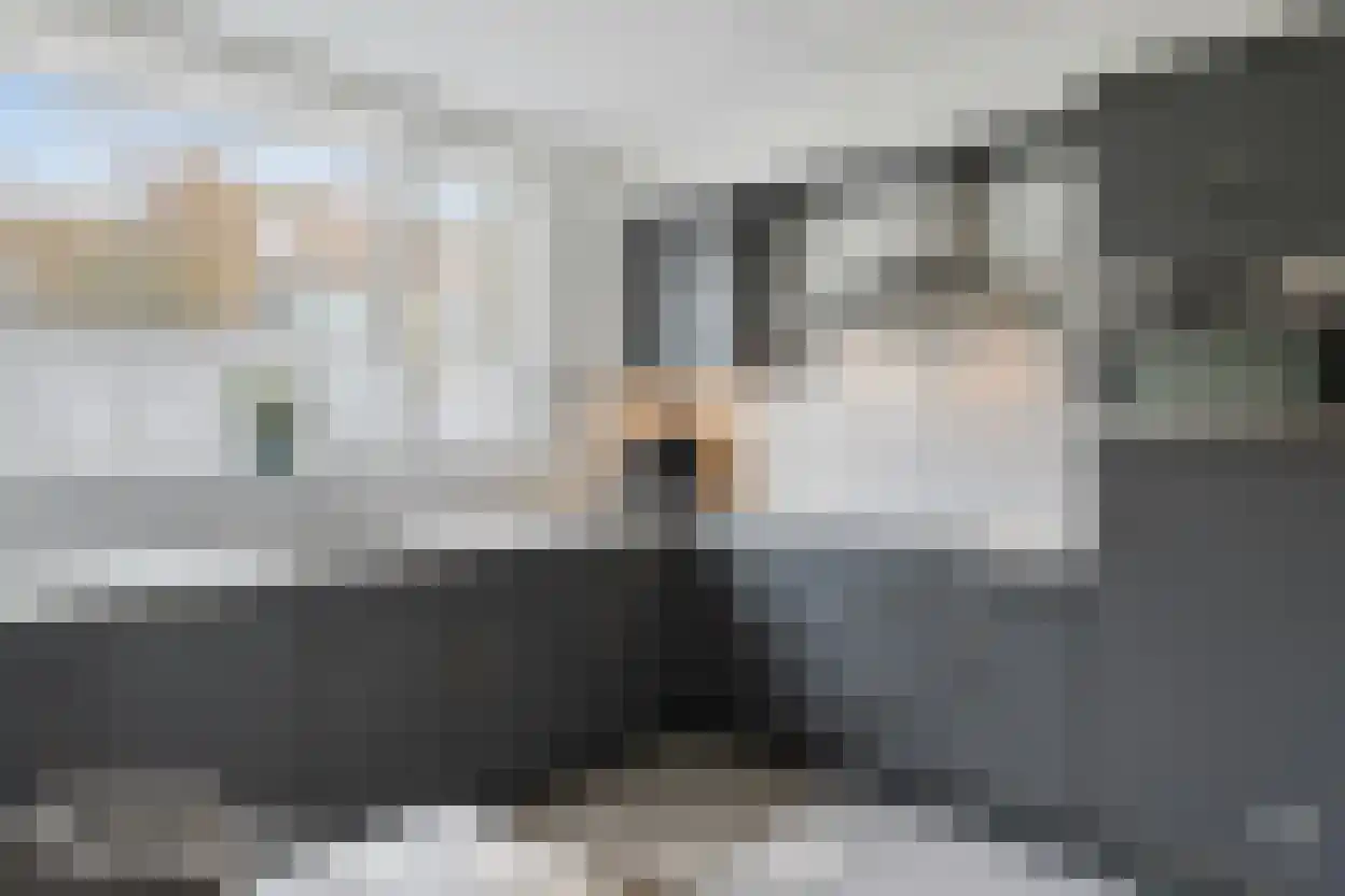 Gelaarsde Kat 43 Eindhoven thumbnail 14