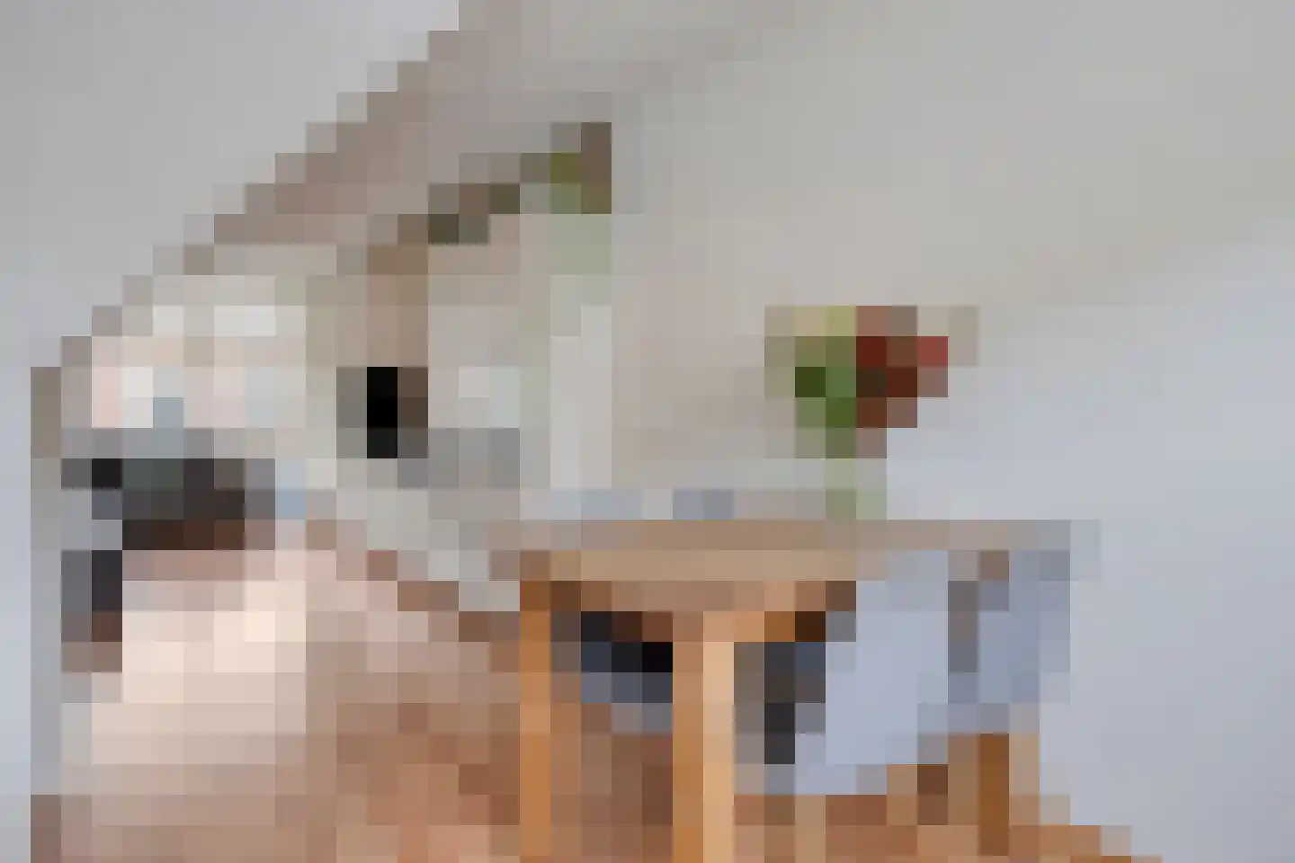 Gelaarsde Kat 43 Eindhoven thumbnail 16
