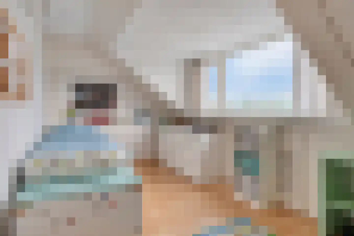 Gelaarsde Kat 43 Eindhoven thumbnail 34