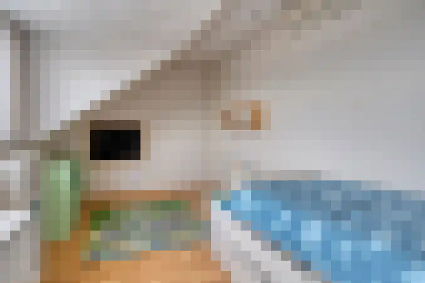 Gelaarsde Kat 43 Eindhoven thumbnail 35