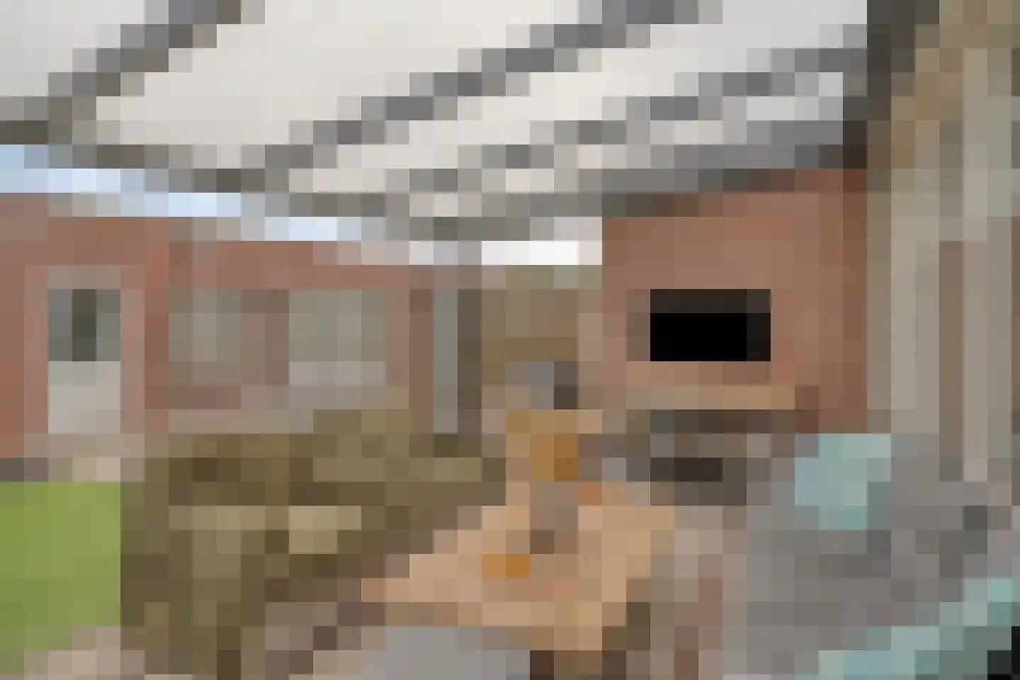 Gelaarsde Kat 43 Eindhoven thumbnail 36