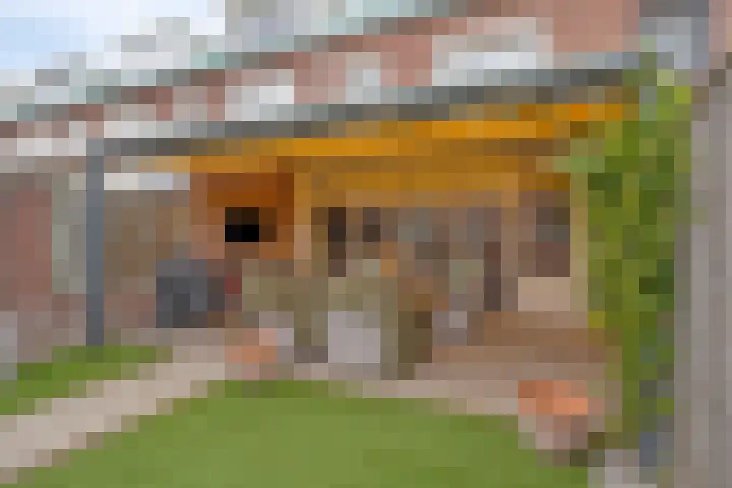 Gelaarsde Kat 43 Eindhoven thumbnail 38