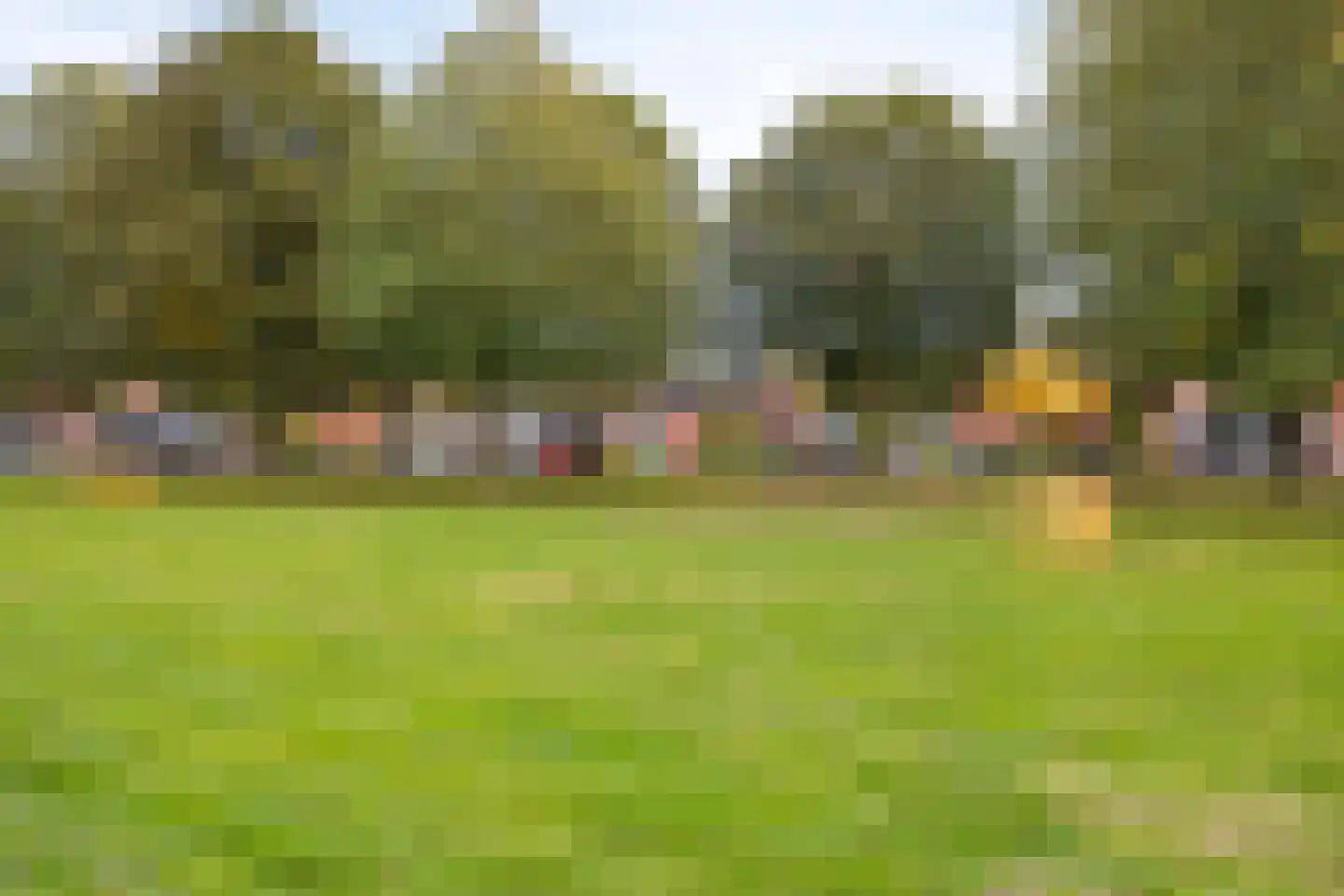 Gelaarsde Kat 43 Eindhoven thumbnail 41
