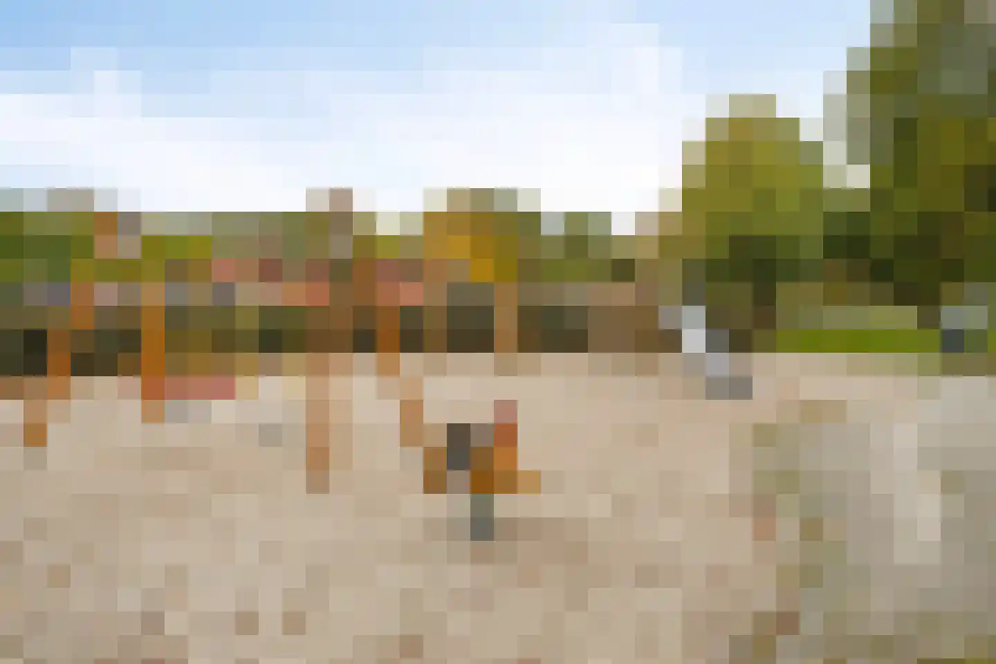 Gelaarsde Kat 43 Eindhoven thumbnail 45