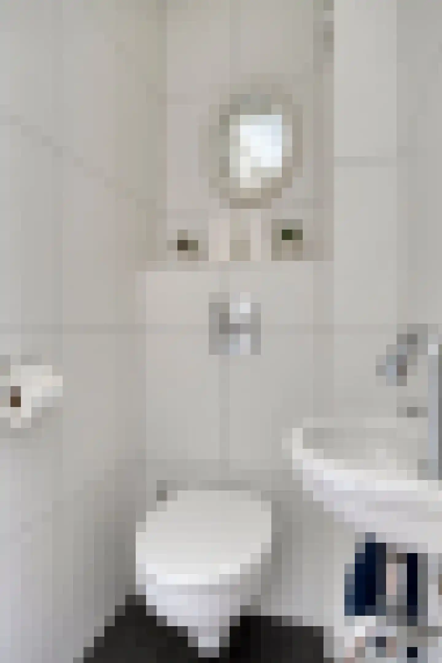 Gelaarsde Kat 43 Eindhoven thumbnail 7