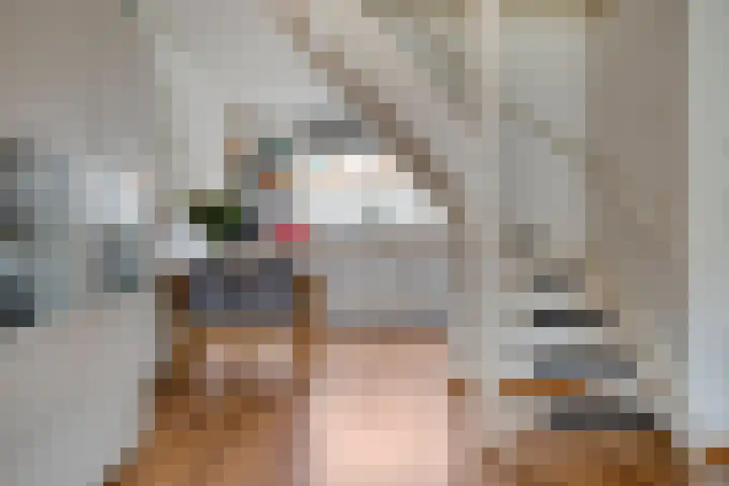 Gelaarsde Kat 43 Eindhoven thumbnail 9