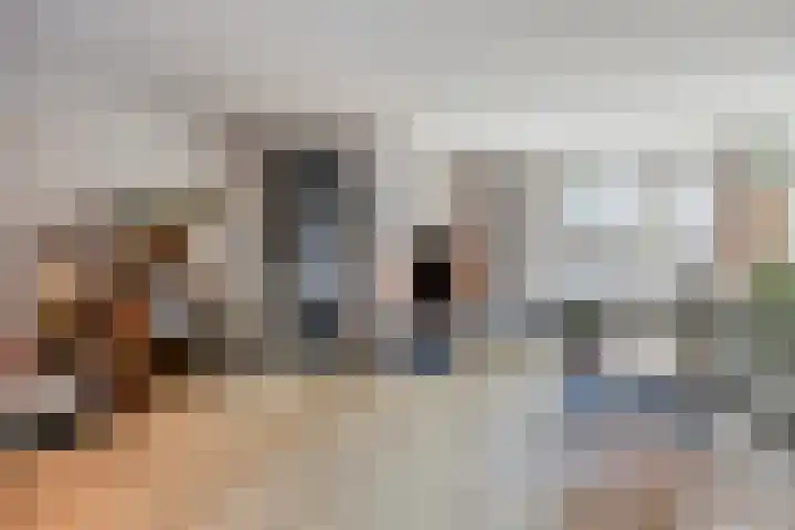 Gelaarsde Kat 48 Eindhoven thumbnail 13
