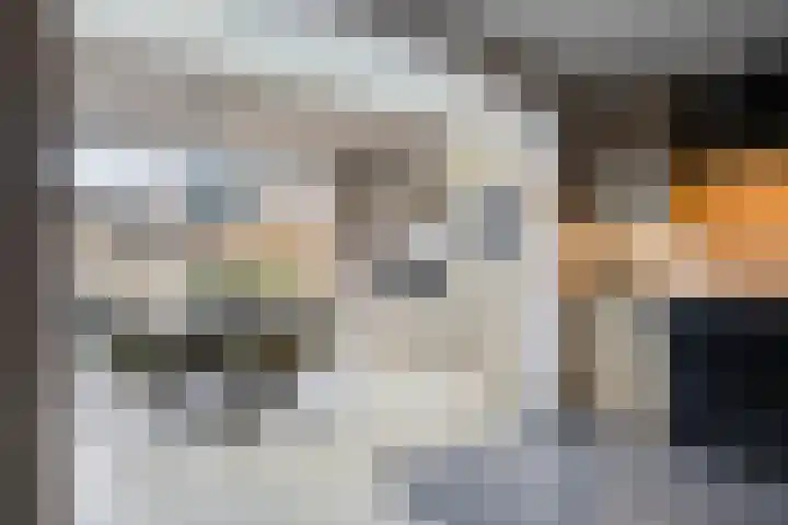 Gelaarsde Kat 48 Eindhoven thumbnail 15