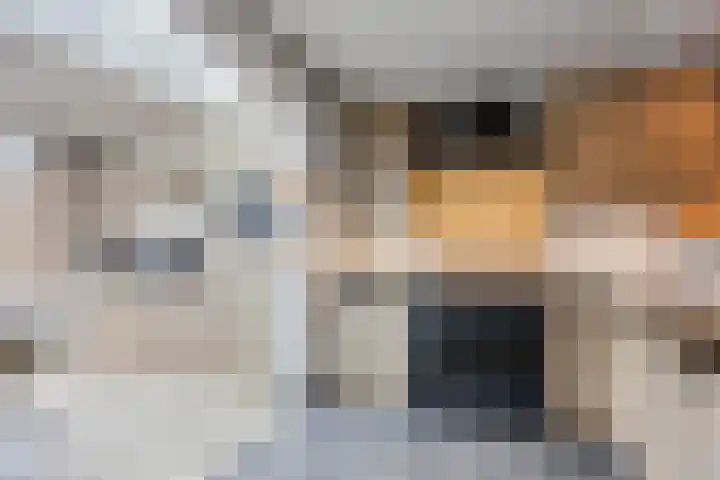 Gelaarsde Kat 48 Eindhoven thumbnail 19