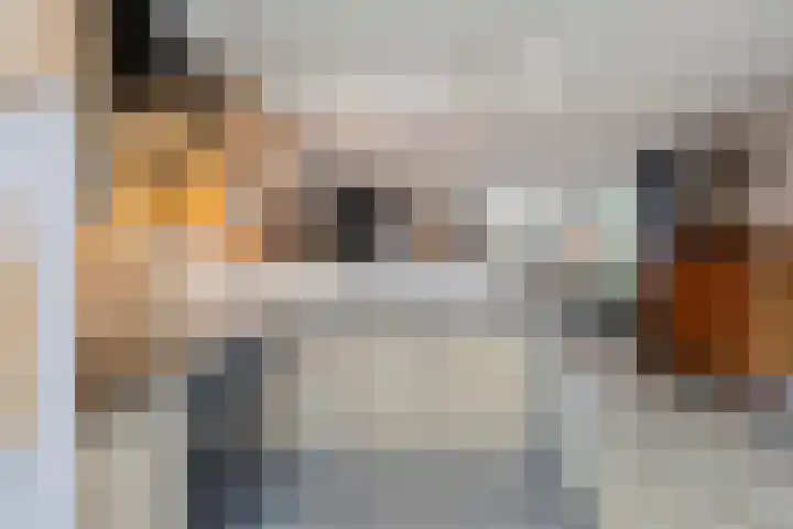 Gelaarsde Kat 48 Eindhoven thumbnail 20