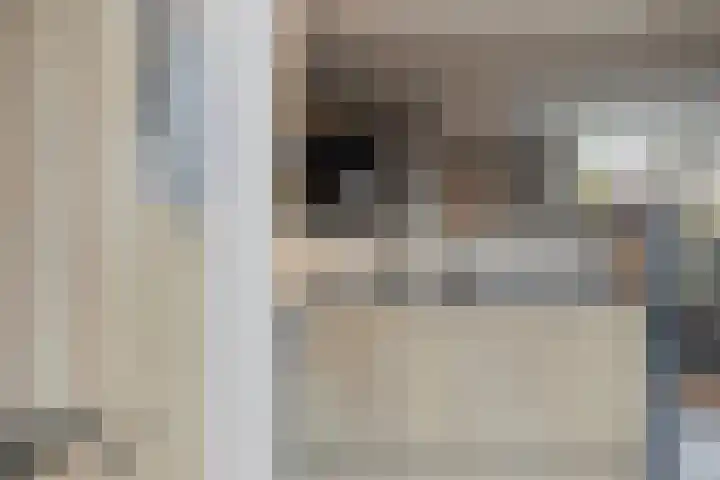 Gelaarsde Kat 48 Eindhoven thumbnail 22