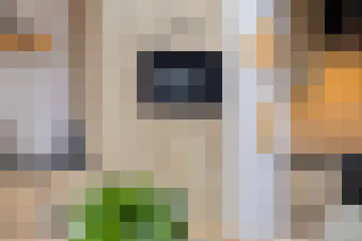 Gelaarsde Kat 48 Eindhoven thumbnail 23