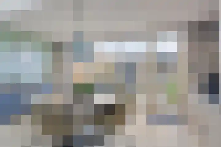 Gelaarsde Kat 48 Eindhoven thumbnail 26