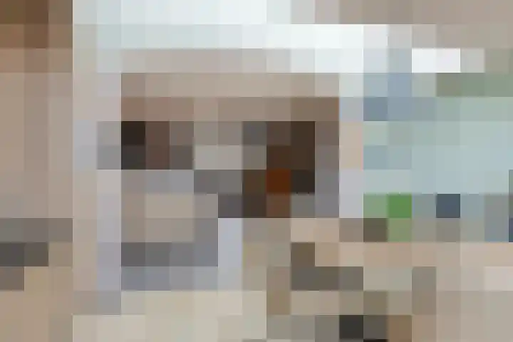 Gelaarsde Kat 48 Eindhoven thumbnail 27