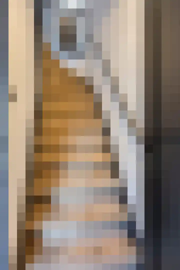 Gelaarsde Kat 48 Eindhoven thumbnail 32