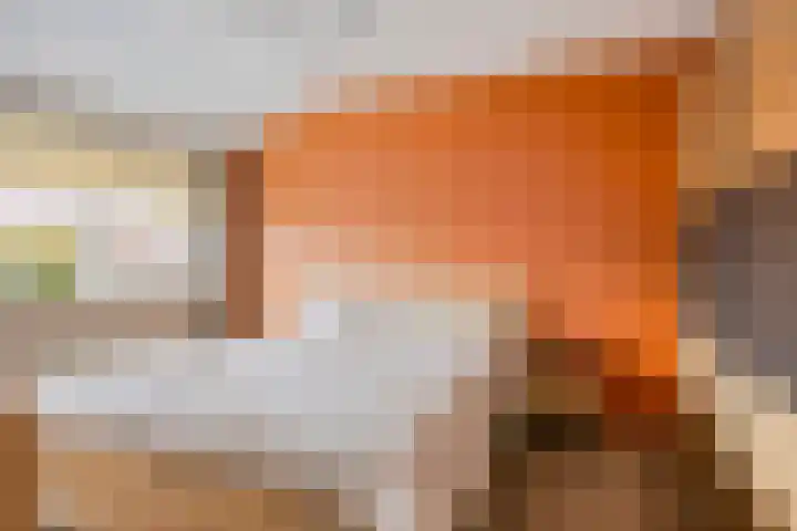 Gelaarsde Kat 48 Eindhoven thumbnail 35