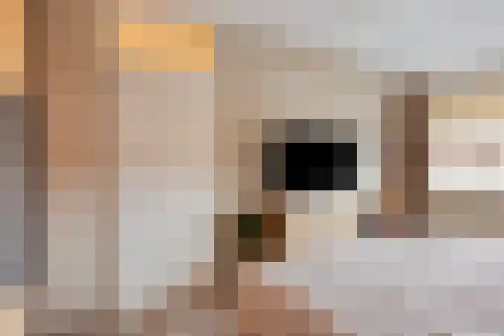 Gelaarsde Kat 48 Eindhoven thumbnail 36
