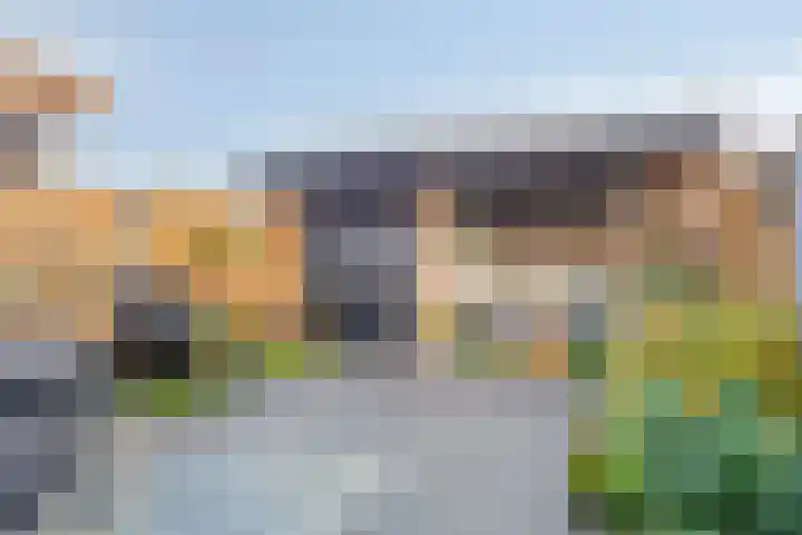 Gelaarsde Kat 48 Eindhoven thumbnail 44