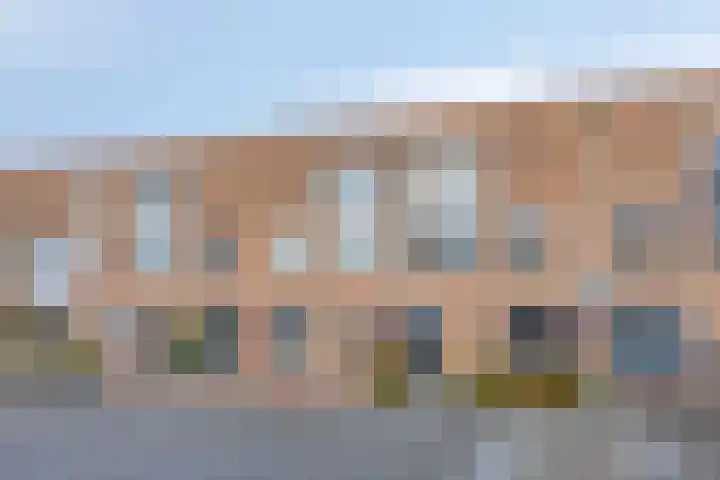 Gelaarsde Kat 48 Eindhoven thumbnail 5