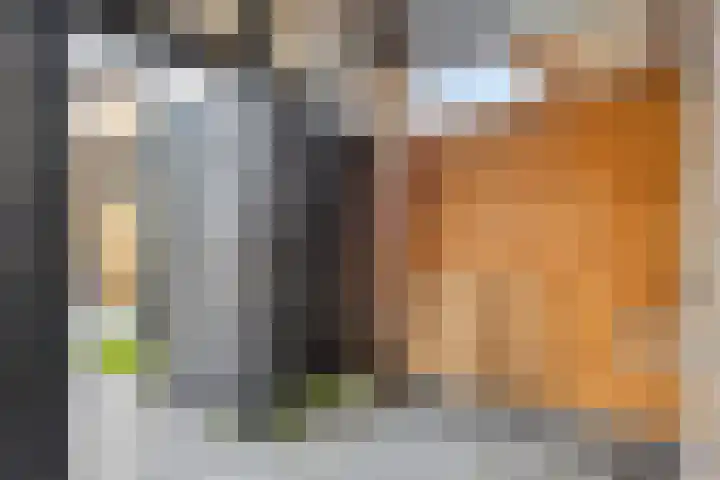 Gelaarsde Kat 48 Eindhoven thumbnail 50