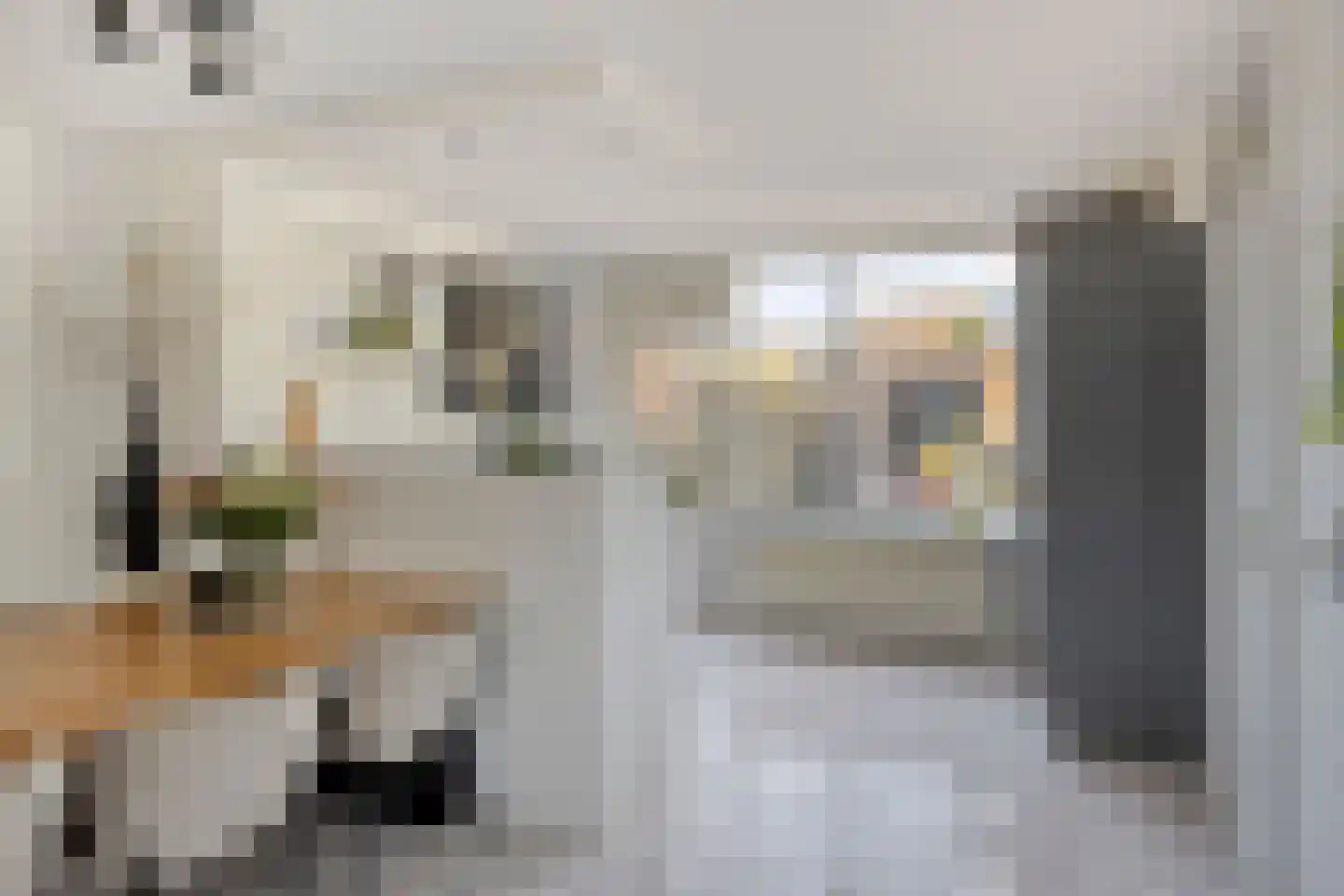 Gelaarsde Kat 66 Eindhoven thumbnail 10