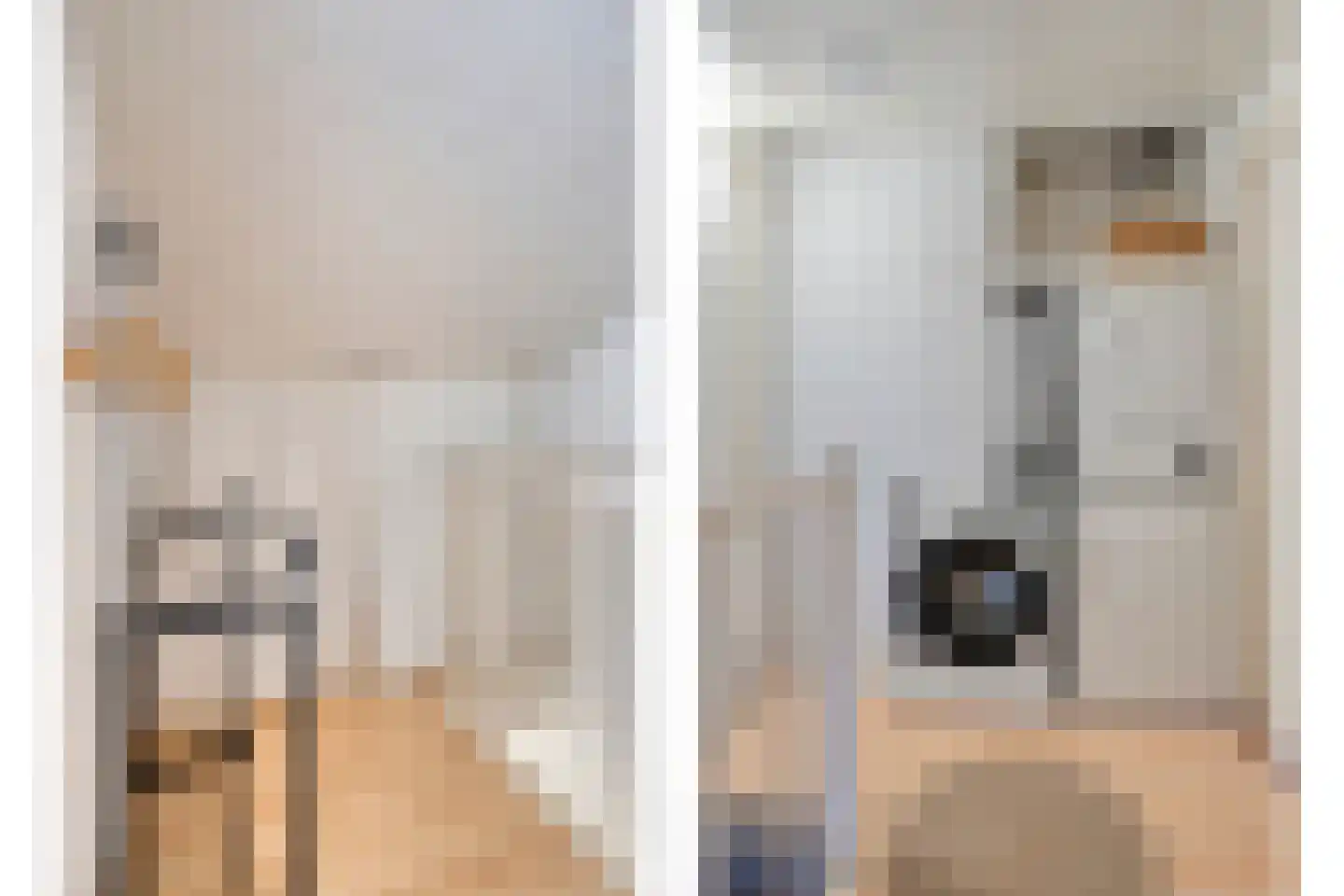 Gelaarsde Kat 66 Eindhoven thumbnail 23