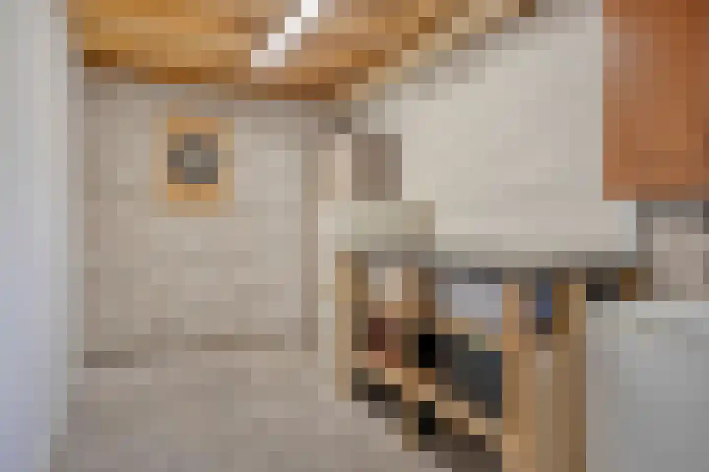 Gelaarsde Kat 66 Eindhoven thumbnail 32