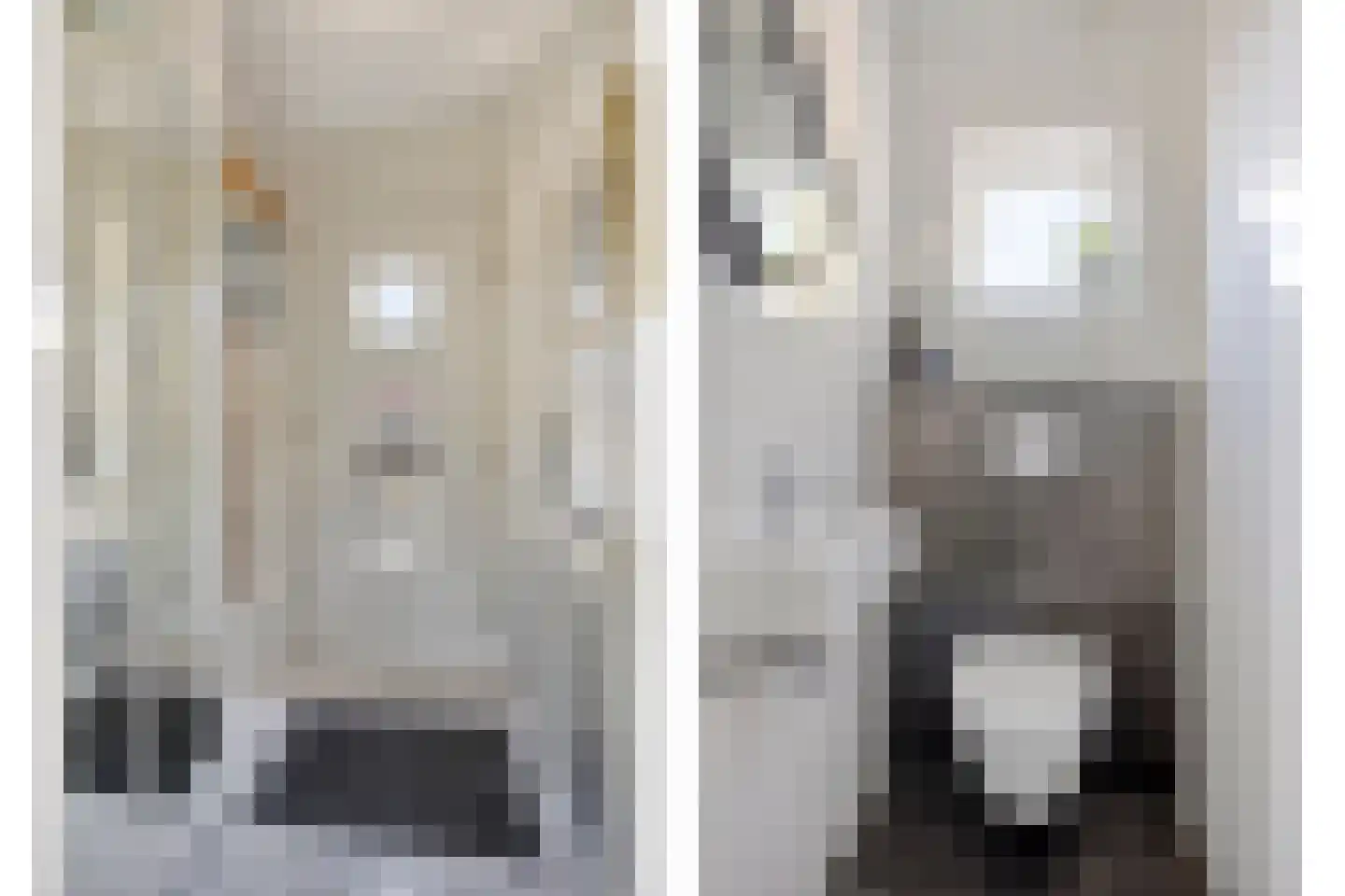 Gelaarsde Kat 66 Eindhoven thumbnail 5