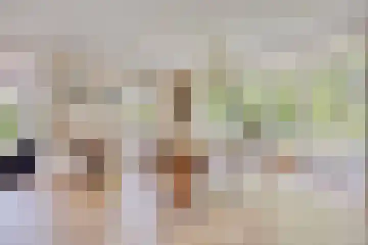Gelde 1 Noordwolde thumbnail 17
