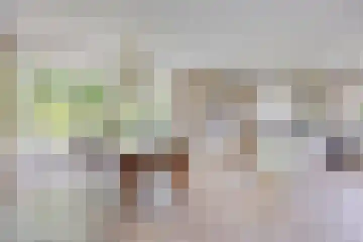 Gelde 1 Noordwolde thumbnail 18