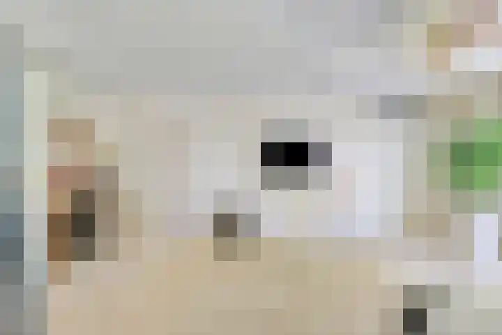 Gelde 1 Noordwolde thumbnail 34
