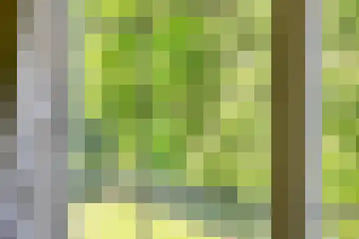 Gelde 1 Noordwolde thumbnail 35