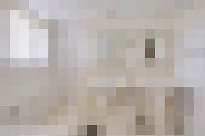 Gelde 1 Noordwolde thumbnail 40