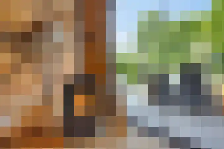 Gelde 1 Noordwolde thumbnail 50