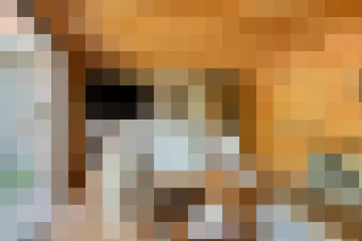 Gelde 1 Noordwolde thumbnail 51