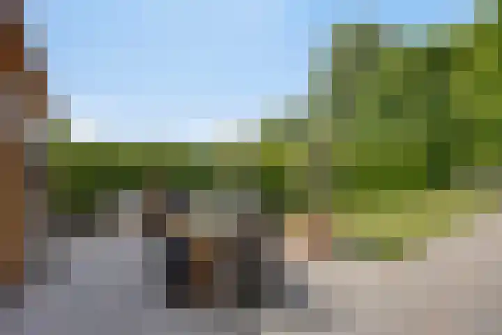 Gelde 1 Noordwolde thumbnail 53