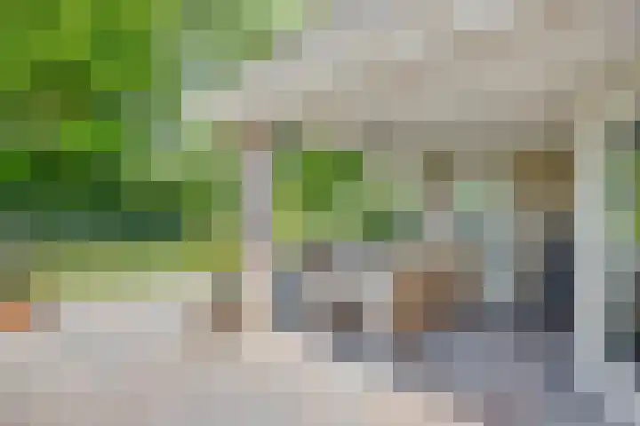 Gelde 1 Noordwolde thumbnail 54