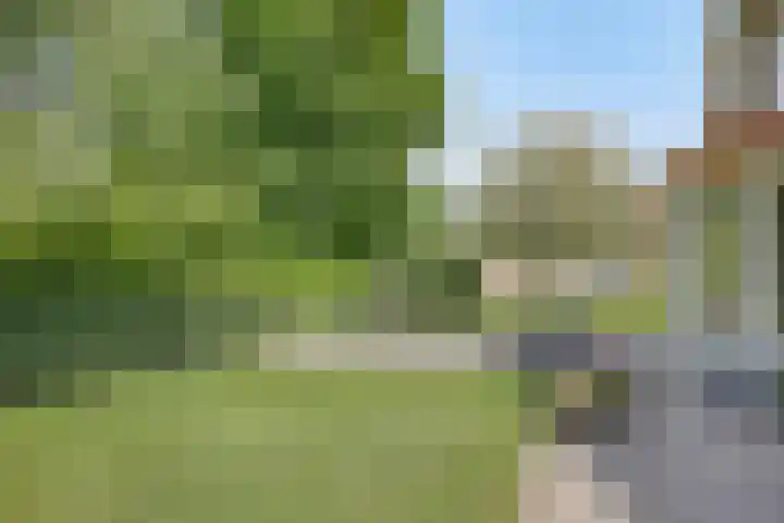 Gelde 1 Noordwolde thumbnail 55