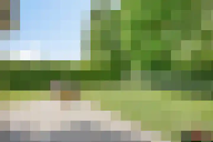 Gelde 1 Noordwolde thumbnail 57
