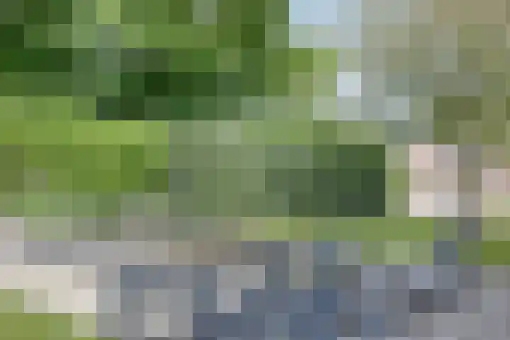 Gelde 1 Noordwolde thumbnail 58
