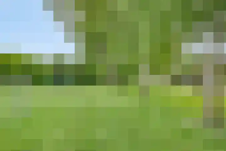 Gelde 1 Noordwolde thumbnail 60