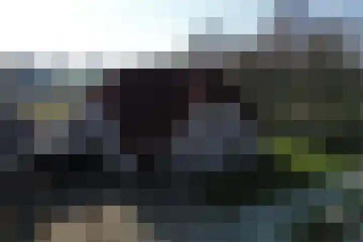 Gelde 1 Noordwolde thumbnail 7